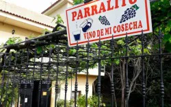 El Parralito - Guachinche en La Matanza de Acentejo