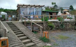 Guachinche Bodega La Suertita - Los Realejos