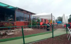 El Surtidor - Guachinche en Santa Úrsula