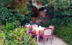 Finca El Pino - Guachinche en La Orotava